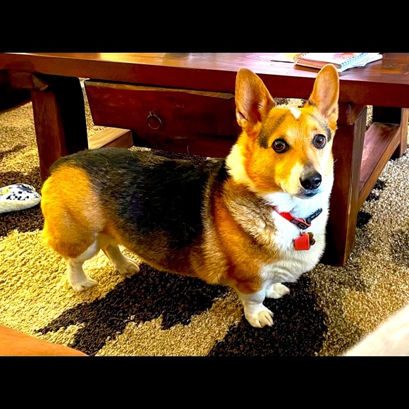 Meet your Posher, Janet - Picture 1 of 1